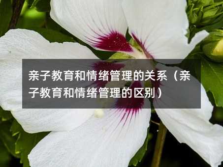 �H�ӽ�������w�������Pϵ���H�ӽ�������w�����ą^�e��