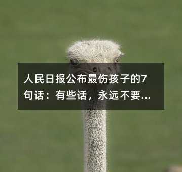 �����Ո󹫲�������ӵ�7��Ԓ����ЩԒ�����h��Ҫ�������f������ͨ������