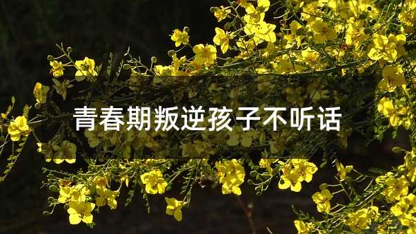 �ഺ�����溢�Ӳ� Ԓ
