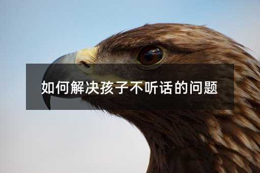 ��ν�Q���Ӳ� Ԓ�Ć��}