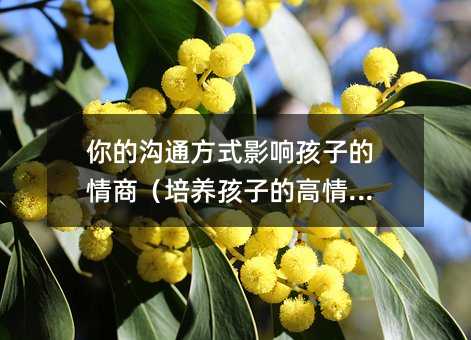 ��Ĝ�ͨ��ʽӰ푺��ӵ����̣����B���ӵĸ����̣�