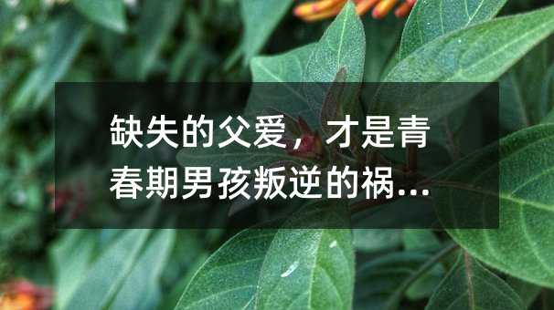 ȱʧ�ĸ��ۣ������ഺ���к�����ĵ�?zh��n)ף?></center>
             
 		            
			   <h2>����ȱʧ�����ഺ���к���Ӱ�</h2> <p>��񣬸���ȱʧ�ѽ�(j��ng)�ɞ��ͥ���һ���ձ�F(xi��n)�󡣸��H����æµ���������X�B(y��ng)�ң����B(y��ng)���ӵ�؟(z��)�δ��������ĸ�H�ļ��ϣ����H�c������̎�r�g���٣����y�и�Ч����顣�@�N��r�£��ഺ���к��������h(yu��n)�����������H���@�N���h(yu��n)�ͅ������s����ò������ۮa(ch��n)����ʧ���c��ࡣ</p> <p>��ô������ȱʧ���ഺ���к����Ը����ʲôӰ��أ�</p> <h3>1. ����Ů�Ի���ȱ��ꖄ�֮��</h3> <p>���f����ĸ�Ǻ��ӵĵ�һ���ώ���������ȱʧ�ĺ��ӣ�����͋�����һ��ȱ�ٸ�ĸ����飬�����׾���һЩŮ�Ի����������@�����cȱ��ꖄ�֮�⣬�@�䌍���ǳ��L�h(hu��n)�������к��ӵ�Ӱ푡�</p> <h3>2. �Ը������Ա���ȱ����ȫ��</h3> <p>�����������Ќ��ڸ��ۺ�ĸ�۵Ŀ������]�и��H�ĺ��ӣ���׌���a(ch��n)���Ա����������X���Լ�����e�ĺ��ӣ��Ը��ϸ��������Ա�ȱ����ȫ�У����������˿���ȥ������һ�N����ų���ĸ��X��</p> <h3>3. �ɚ⡢�U�M����������κ̈́e����̎</h3> <p>�ഺ���к��L�r�gȱʧ���ۣ��ò����ְֵ���飬����һ���ˎ������Ƿǳ�����ģ��ڽ������ӵ��^�����y��������ĵط������Ժ���Ҳ��������鋌������ۺ͋ɑT���B(y��ng)�ɋɚ⡢�U�M���Ը񣬲�������κ̈́e����̎��</p> <p>�����鸸�H������L�����⣬���Ӳ��܎������ӿ˷��@Щ���}���M��һ�������H��؟(z��)���أ�</p> <h2>���H��Ύ������ӿ˷�����ȱʧ�����Ć��}</h2> <h3>1. �����ӳɞ�����</h3> <p>��Ҫ�Ӳ����ԡ�������֡��Ŀ��ǌ������ӣ�����Ҫ�ɞ麢�ӵ����ѣ�ƽ�ȵ��c���Ӝ�ͨ���@�Ӻ��Ӳ��ܸ���Ը���c���H�����Լ��ă�(n��i)�����硣</p> <h3>2. ���ؽo���ӵĳ��Z</h3> <p>���Ǵ�(y��ng)���ӵ����飬һ��Ҫ�f�����������ܹ�ͣ���ڿ��^�ϡ����ӌ��ڸ��H�����΁����ڸ��H���F(xi��n)�Լ��ĳ��Z�����HҪ�������t����һ��׌������ه���ˡ�</p> <h3>3. �Ą�����҄�(w��)</h3> <p>���鸸�H��Ҫ��Ą�ӌW(xu��)�����c�҄�(w��)��������ĸ���ͥ��ͨ�^���c�҄�(w��)�����ӿ������B(y��ng)������������؟(z��)�θС�</p> <h3>4. ÿ�솖������</h3> <p>���H�������ӵđB(t��i)�ȕ�Ӱ푵����ӵ����̺̓rֵ�^����˸��HҪ���P(gu��n)�����ӣ������������ƺ͜��ᡣ�@�Ӻ��Ӳ��ܸ��ܵ�һ�����C�Ҹ��ļ�ͥ�Շ���</p> <h3>5. ��ؼҿ���</h3> <p>��æҲҪ��(j��ng)���ؼҿ������ӣ������Թ���æ���ں����˺��ӵĳ��L��ֻ���H�텢�c���ӵĳ��L���ܽo���������õĸ��ۡ�</p> <p>ͨ�^���ϵ�Ŭ�����L������ĸ��H���Ը��õ؎������ӿ˷�����ȱʧ�����Ć��}��׌���������س��L��</p> <p>���Ї���ͥ�����У����H��ȱʧ��(d��o)����90%���ഺ���к����F(xi��n)���桢���W(xu��)�����ԾW(w��ng)�j(lu��)�Α���������Ȇ��}������׌�ഺ���к��܉򽡿����L���L������ĸ��H��(y��ng)ԓ��վ�ں��Ӻͼ�ͥ�ĽǶ�ȥ˼�����������鸸�H��؟(z��)�Ρ�</p>				            
      	    <p>
            			  </p>
			
 <div   id=