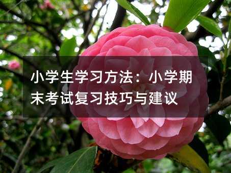 С�W���W��������С�W��ĩ��ԇ���������c���h