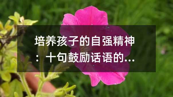 ���B(y��ng)���ӵ��ԏ�(qi��ng)����ʮ��Ą�(l��)Ԓ�Z������