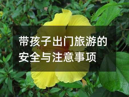 �����ӳ��T���εİ�ȫ�cע�����