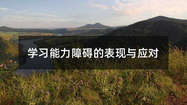 學習能力障礙的表現(xiàn)與應(yīng)對