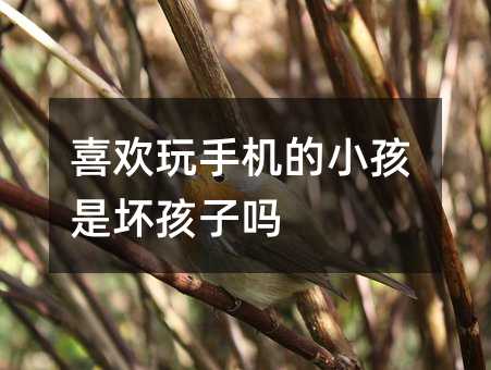 ϲ�g���֙C(j��)��С���ǉĺ��ӆ�