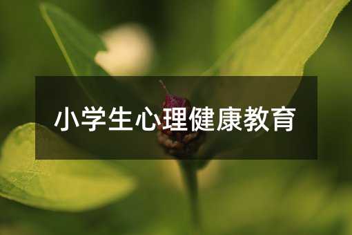 С�W��������������