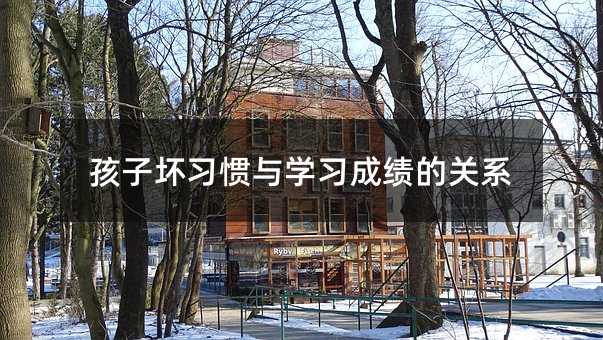 ���Ӊ���(x��)�T�c�W(xu��)��(x��)�ɿ����P(gu��n)ϵ