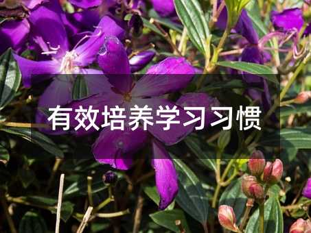 ��Ч���B�W�����T