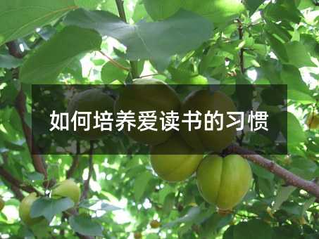 ������B���x�������T