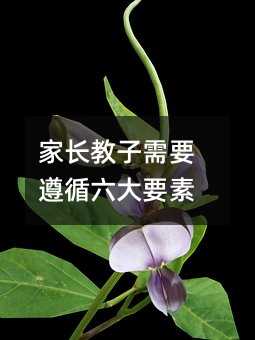 ���L������Ҫ��ѭ����Ҫ��