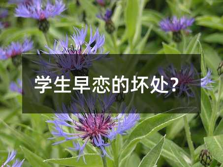 �W(xu��)����ٵĉ�̎��
