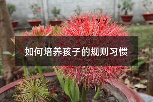 ������B���ӵ�Ҏ�t���T