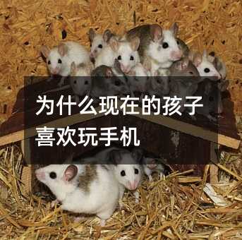 ��ʲô�F�ڵĺ���ϲ�g���֙C