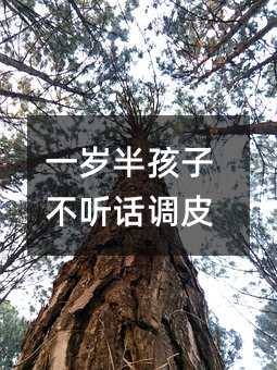 һ�q�뺢�Ӳ� Ԓ�{Ƥ
