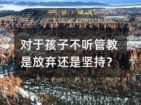 ���ں��Ӳ� �ܽ��Ƿŗ�߀�ǈԳ֣�