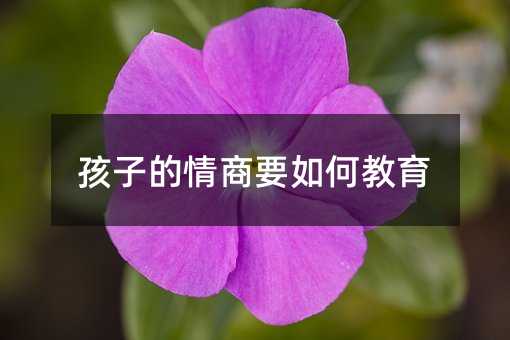 ���ӵ�����Ҫ��ν���