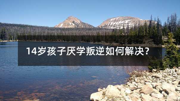 14�q���Ӆ��W(xu��)������ν�Q��