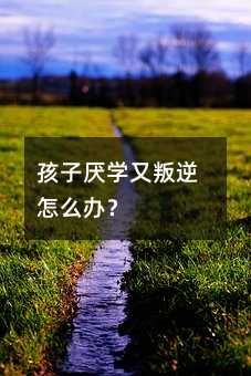 ���Ӆ��W��������ô�k��