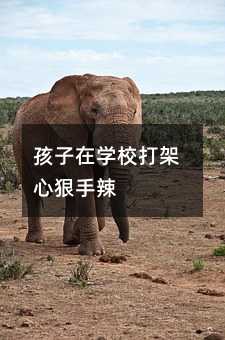 �����ڌW(xu��)У����ĺ�����