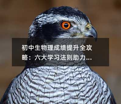 �����������ɿ�����ȫ���ԣ�����W�����t�������u