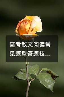 �߿�ɢ����x��Ҋ(ji��n)�}�ʹ��}���ɼ���·
