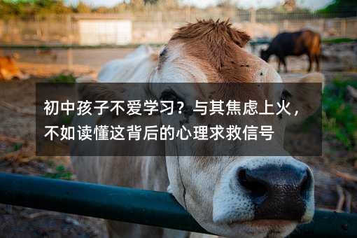 ���к��Ӳ��یW�����c�佹�]�ϻ𣬲����x���@��������������̖