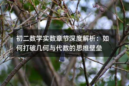 ������(sh��)�W(xu��)��(sh��)��(sh��)�¹�(ji��)��Ƚ�������δ��Ǝ׺��c����(sh��)��˼�S�ډ�