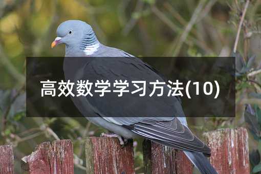 ��Ч���W�W������(10)