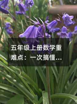���꼉�σԔ��W���y�c��һ�θ㶮���׷��̣����ӳɿ���������������