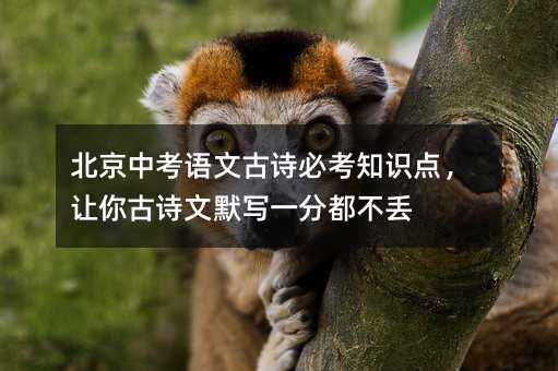 北京中考語文古詩必考知識點,讓你古詩文默寫一分都不丟