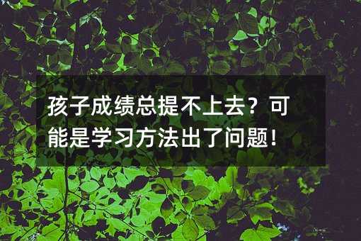 ���ӳɿ����᲻��ȥ�������ǌW���������ˆ��}��