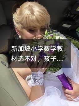 新加坡小學數學教材選不對,孩子的數學思維可能被毀掉!一位海淀媽媽的避坑指南