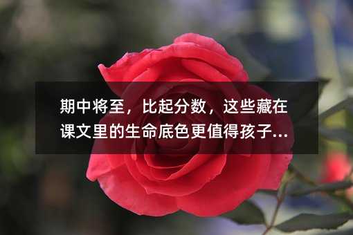 ���Ќ���������֔����@Щ�����n�����������ɫ��ֵ�ú������