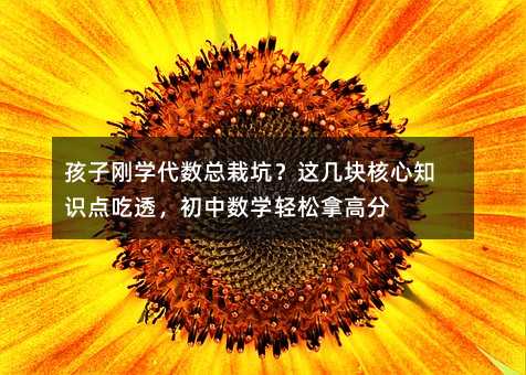 ���ӄ��W�������Կӣ��@�׉K����֪�R�c��͸�����Д��W�p���ø߷�