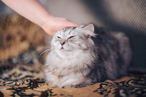 �õČW(xu��)��(x��)��(x��)�T����ȡ�úóɿ�(j��)�Ļ��A(ch��)