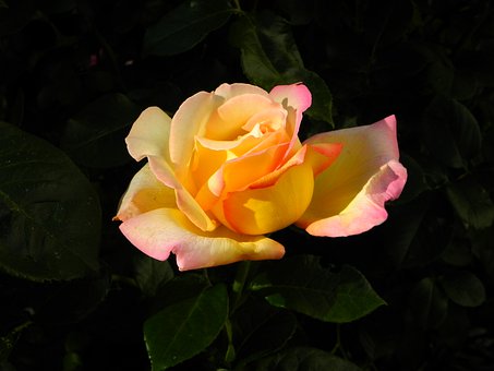 ������Ч�ļ��L�c���Ӝ�ͨ����