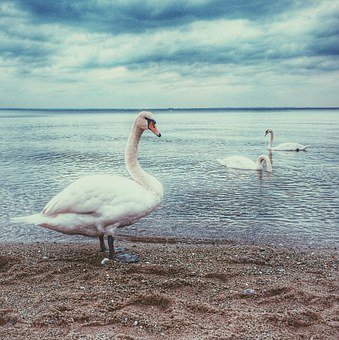 �H���P(gu��n)ϵ�е��e��