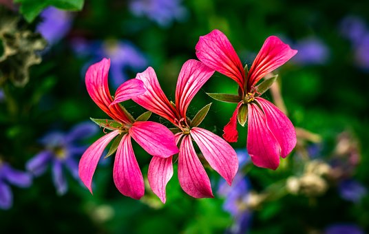 �����W(xu��)У����