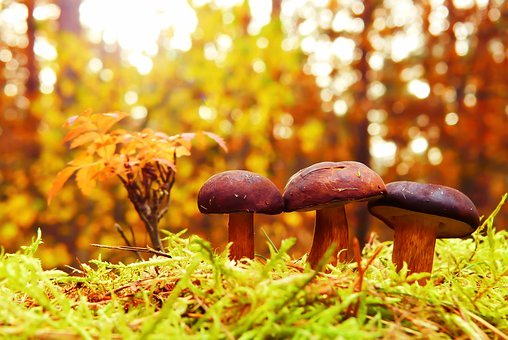 �ߡ����ӌ�ĳЩ������Н���dȤ�ĕr��