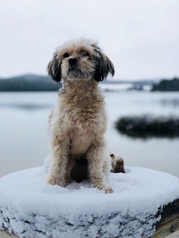 ����w���J�R