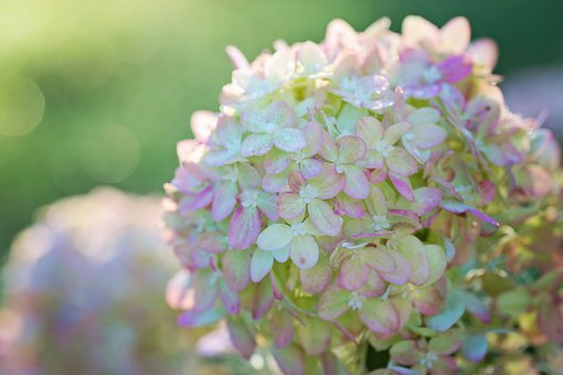 ����Ӣ�Z�W��������ץ�û�����