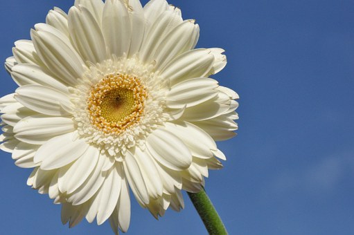 2010�걱������^�ЌW�п��ȡ�֔���