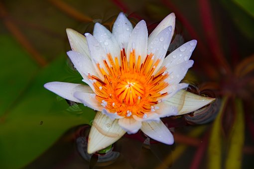 �ഺ��Ů����������Щ���F