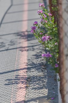 ��Q�������������֙C�Ć��}�����L���P���c����