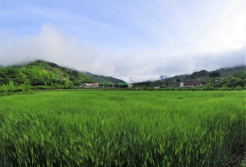 高效數學學習方法