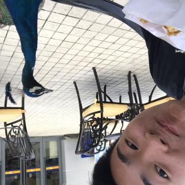 �Ͻ̆T