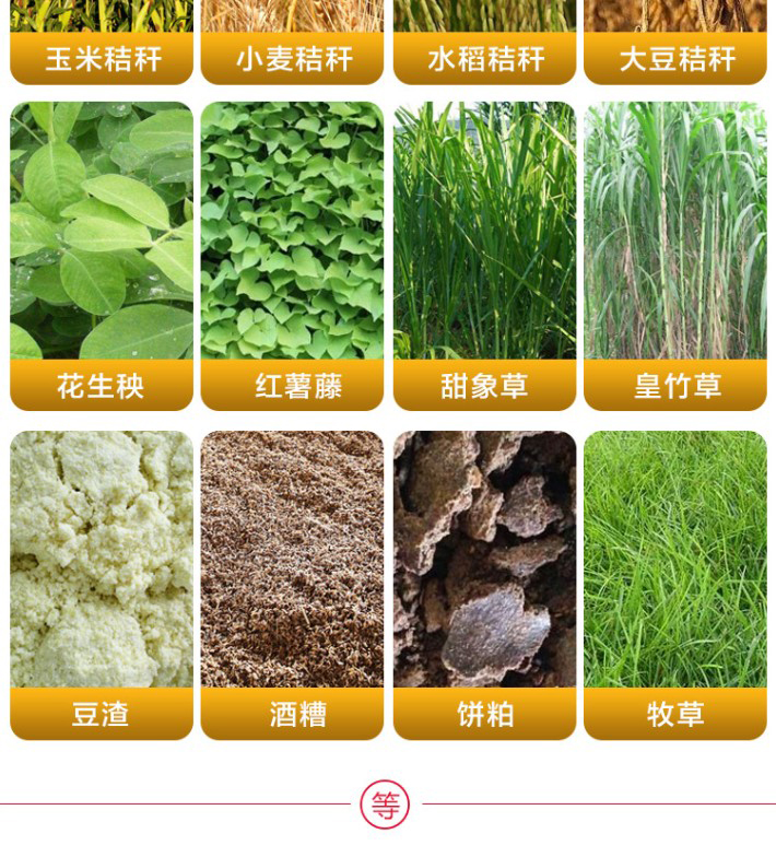 青貯飼料發(fā)酵劑